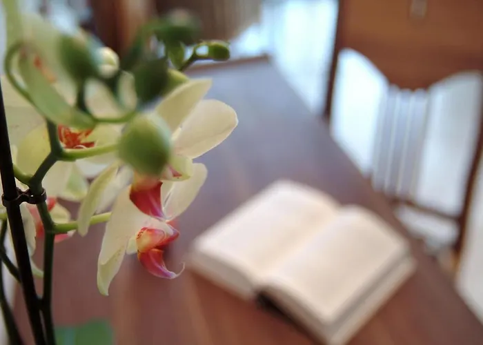 Hotel Waldhotel & - For Body & Soul